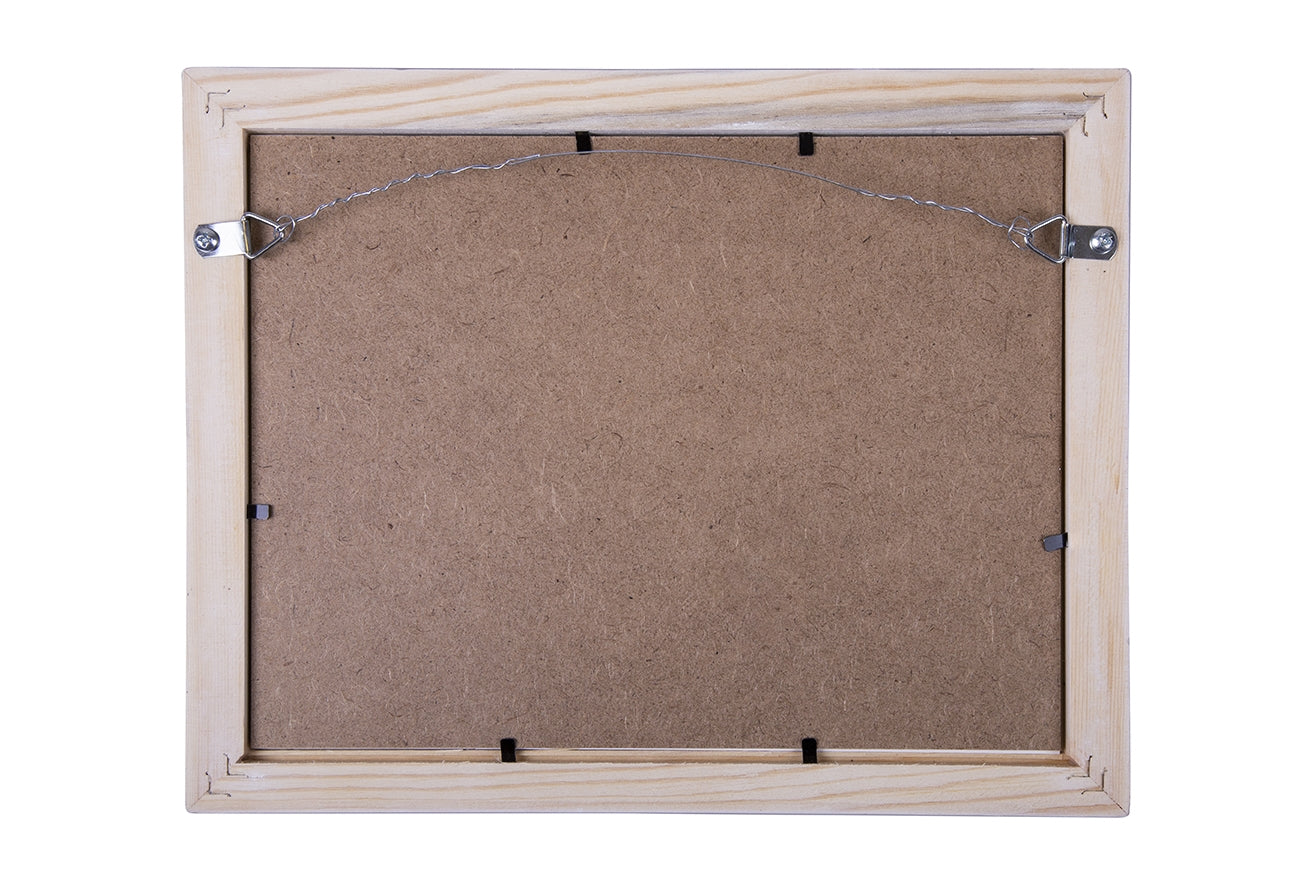 STAS d ring schroefhanger set met staaldraad, perfect voor het ophangen van schilderijen met draad.