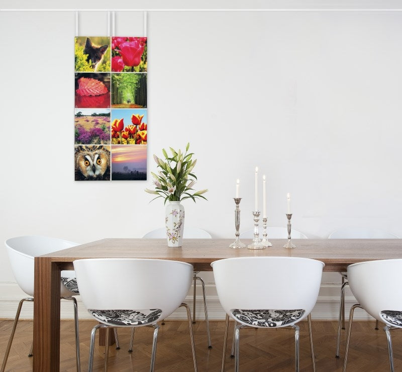 STAS picture hits: makkelijk in het STAS ophangsysteem te bevestigen.