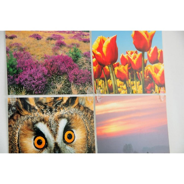 STAS picture hits: makkelijk in het STAS ophangsysteem te bevestigen.