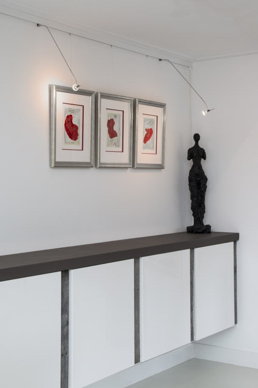 STAS multirail max 200 cm, de ideale oplossing voor het ophangen van kunstwerken.